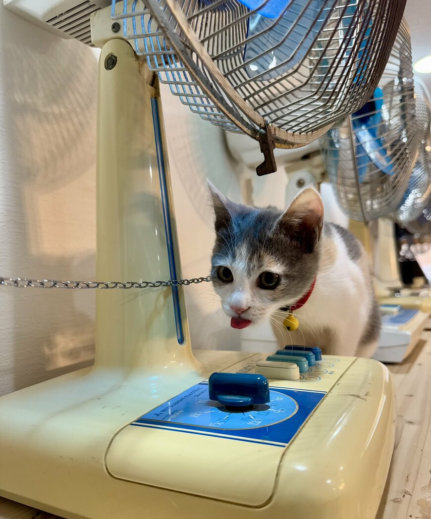 出所：@omochi_nam01