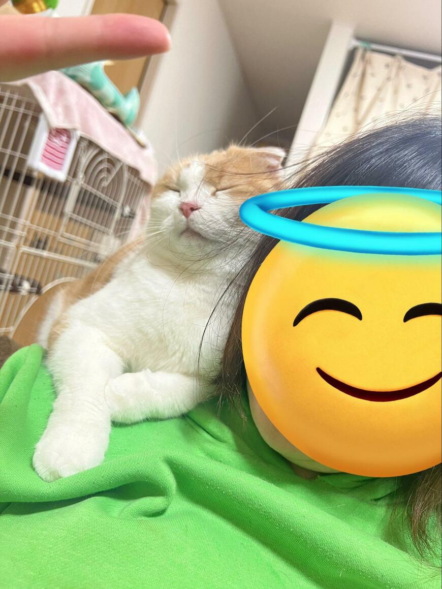 「猫上級者になると…」幸せすぎる大サービスに驚きの声「そんな事できるの！？」