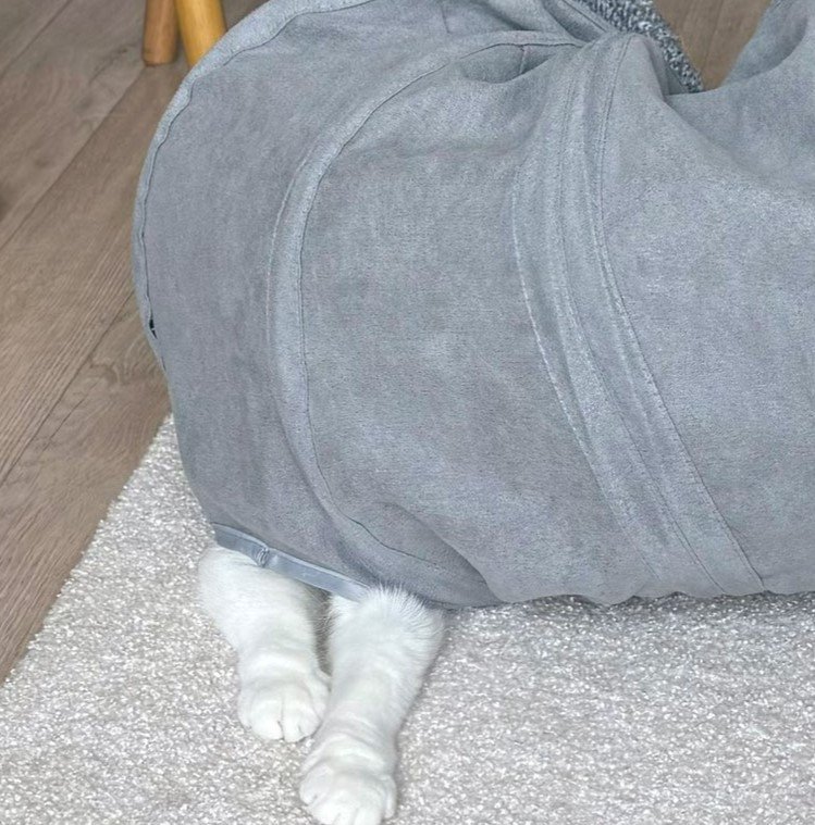 出所：@omochiomoching