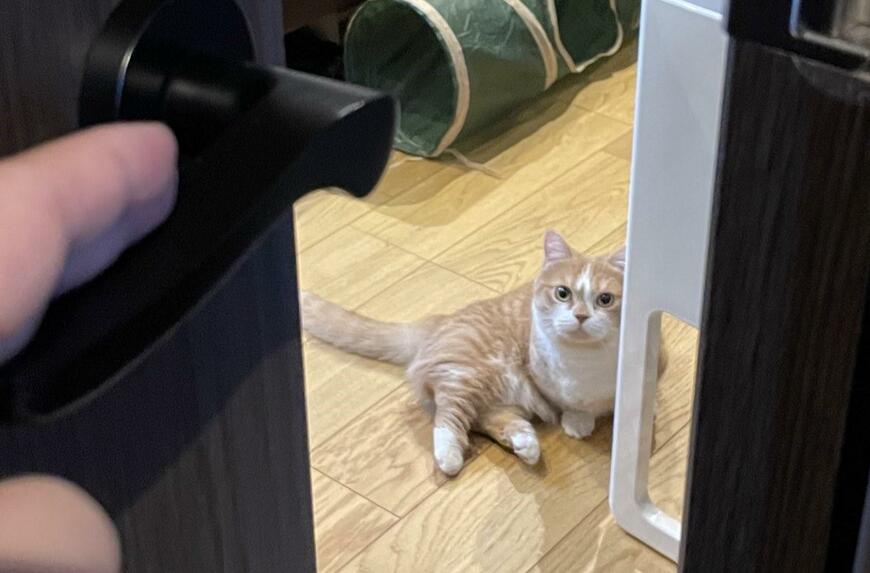 出所：@kotaro_0315