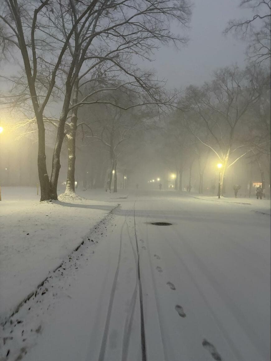 出所：@HU_karakarauo