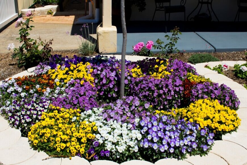 alybaba/shutterstock.com