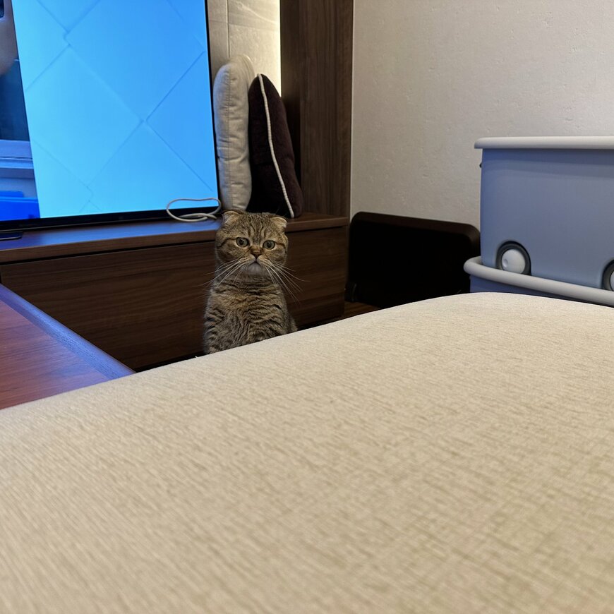 出所：@ponpokopontanu