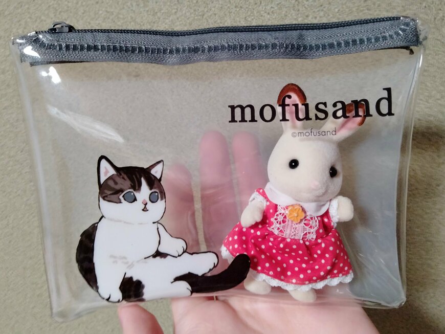 筆者撮影（セリア、mofusand ビニールポーチミニ）