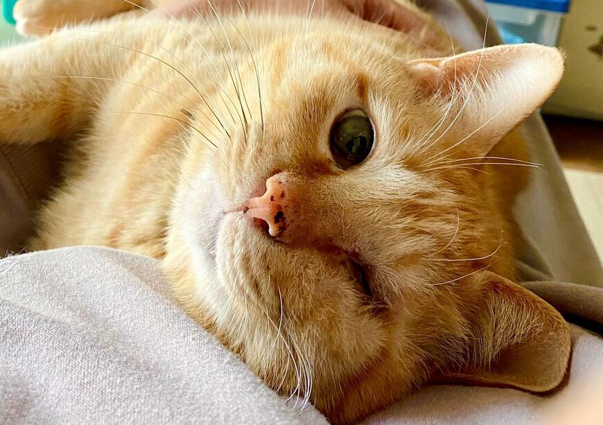 出所：@luna7taka9