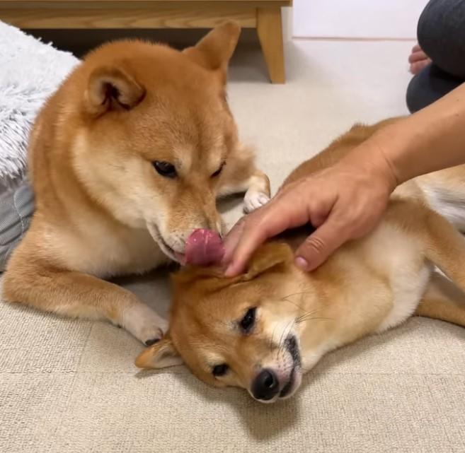 出所：hanachan_1111