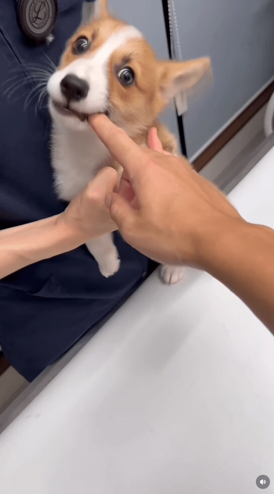 @yinanobe