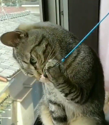 出所：@mero627puri914