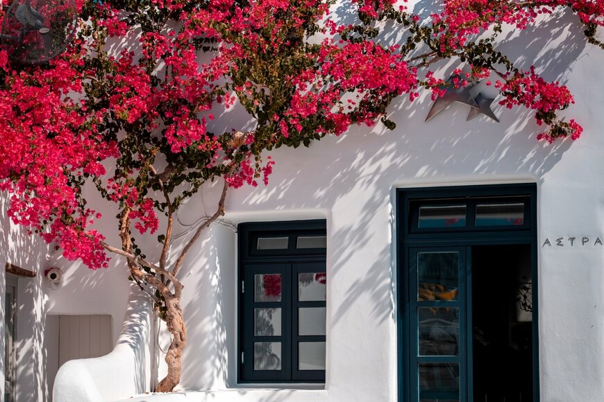 Emil Soeueud/shutterstock.com