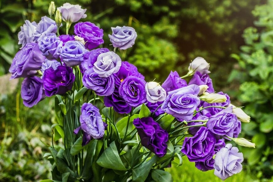 taylon/shutterstock.com