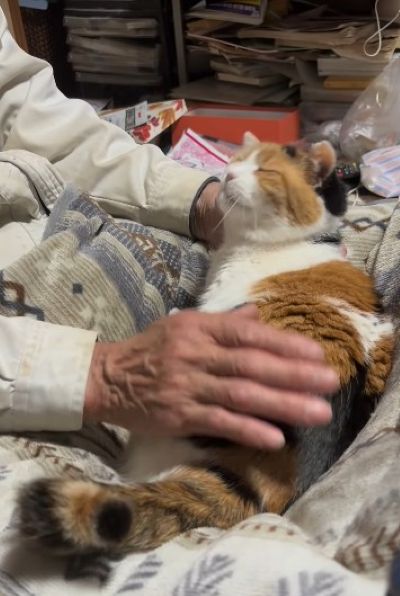 出所：@mike_noritama