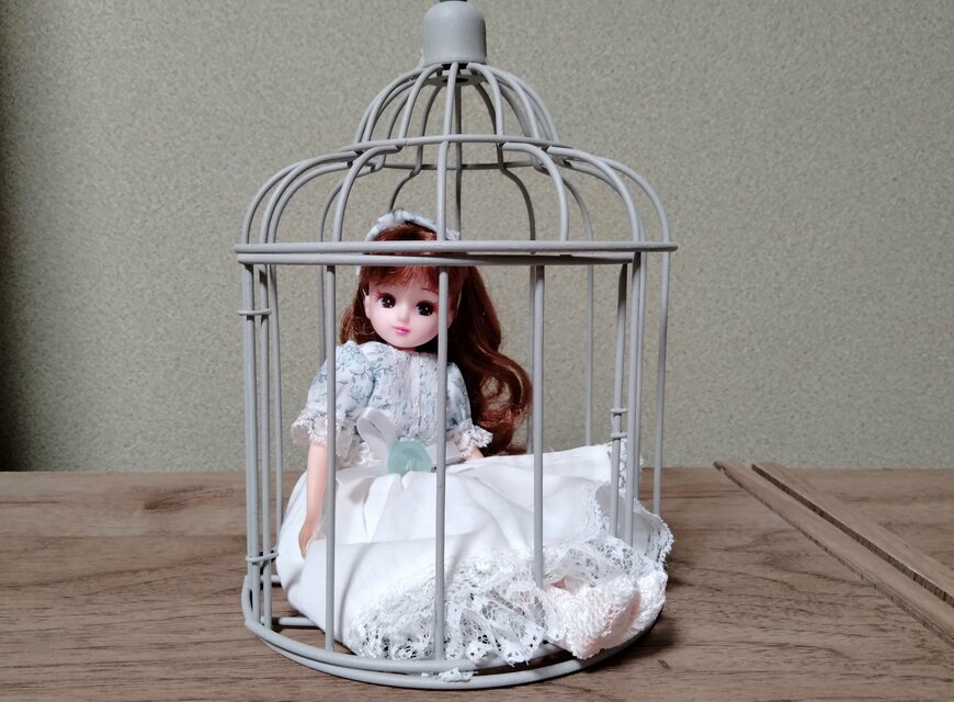 筆者撮影（ダイソー、アイアンインテリア（ケージ、直径13.5cm×19cm））