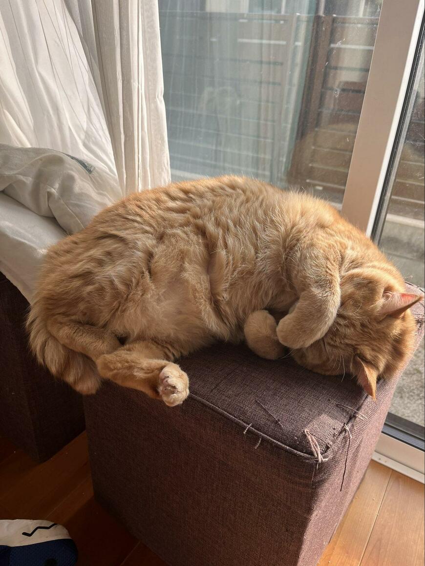 出所：@kagisuzu0531