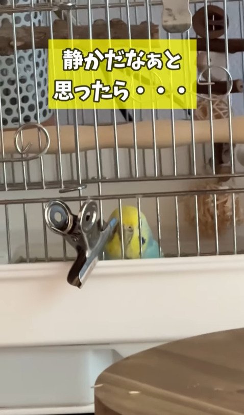 出所：@daiinkoteikoku_soraoto