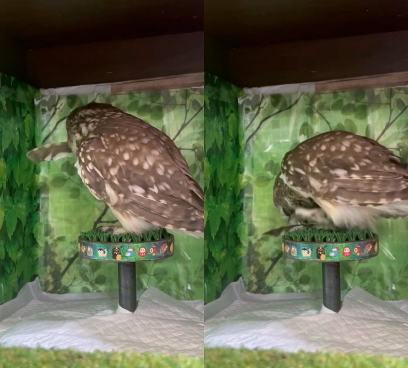 投稿動画のワンシーン