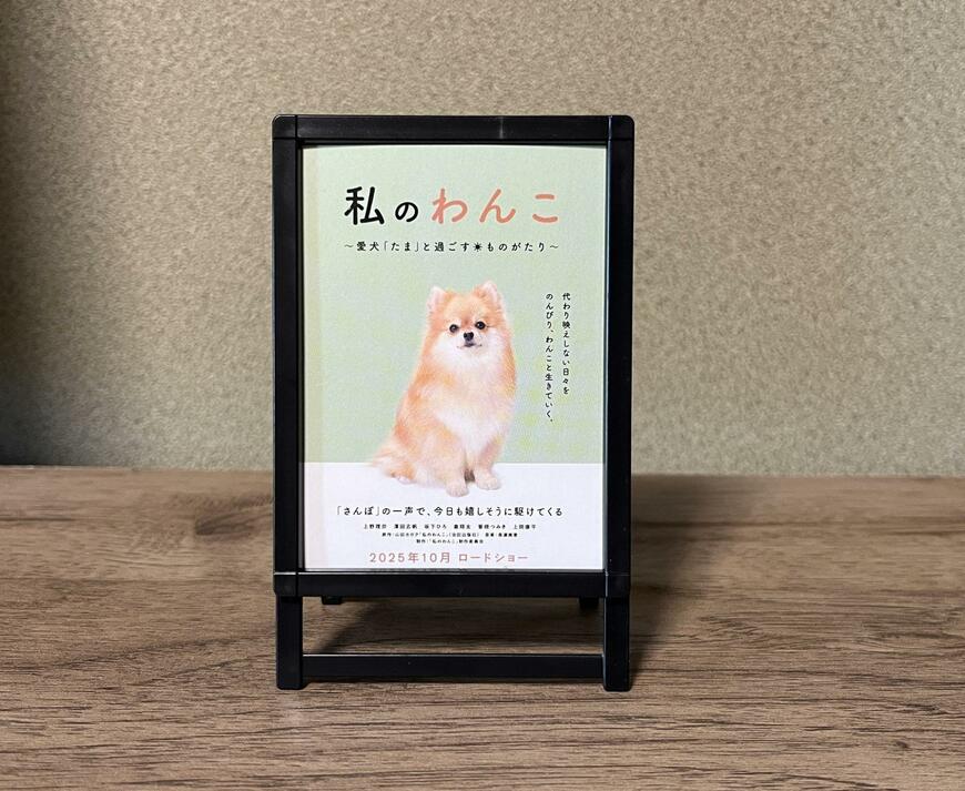 キャンドゥ、ミニチュアポスタースタンド画像