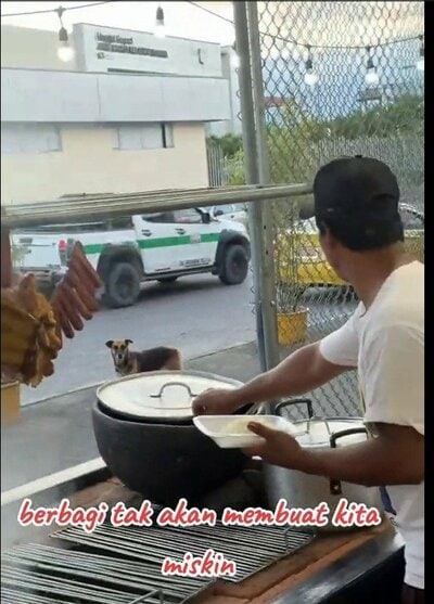 食べ物を差し出されるのを待つ野良犬