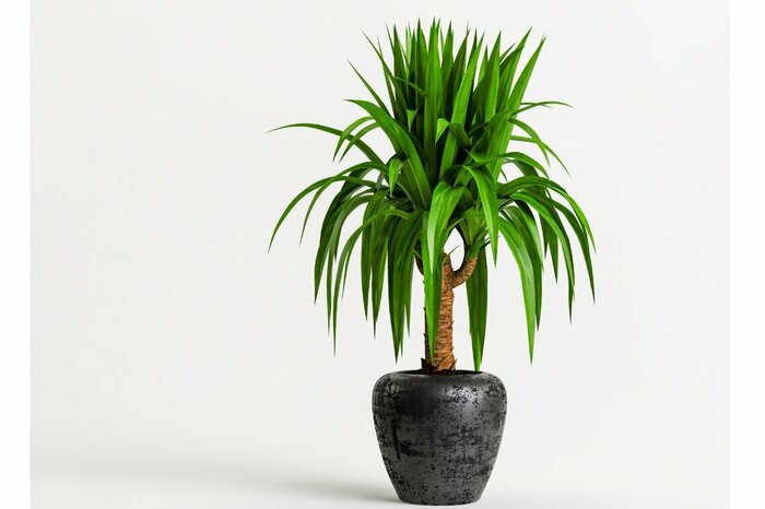 Aphap/istockphoto.com