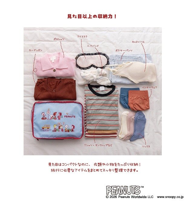 自宅での衣替えや散らかりがちな小物の整理にも活用できます