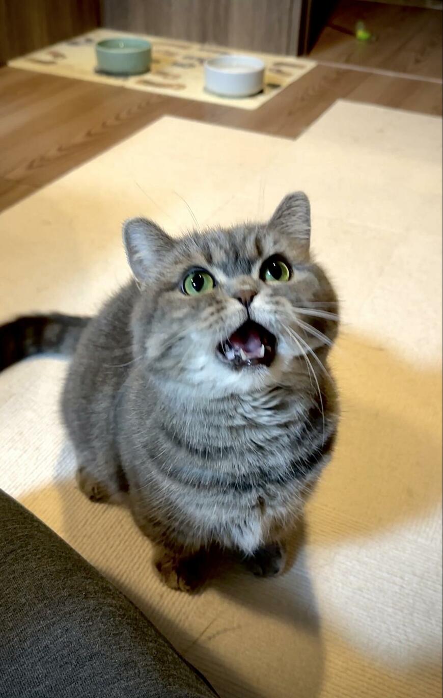 出所：@himaritomugi