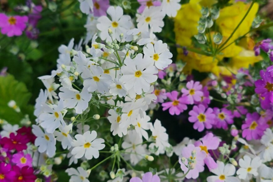 Lee ArtPhotos/shutterstock.com