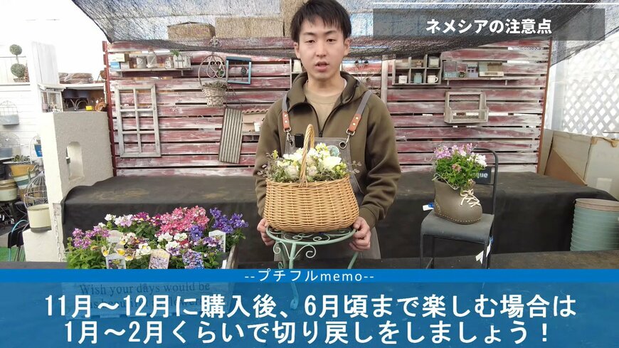 出所：@petit_fleur