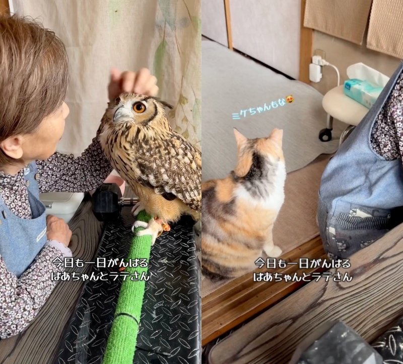 出所：@ba_chantolatte