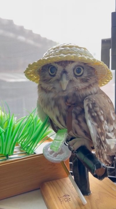 出所：@cr8673.hiro