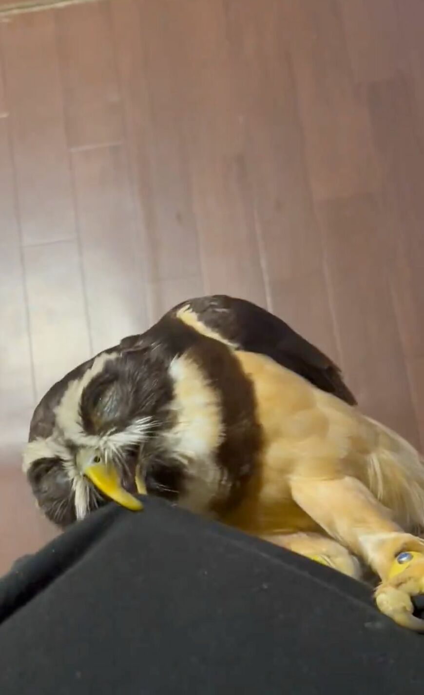 出所：@ooS6lBRTtjxdL7U