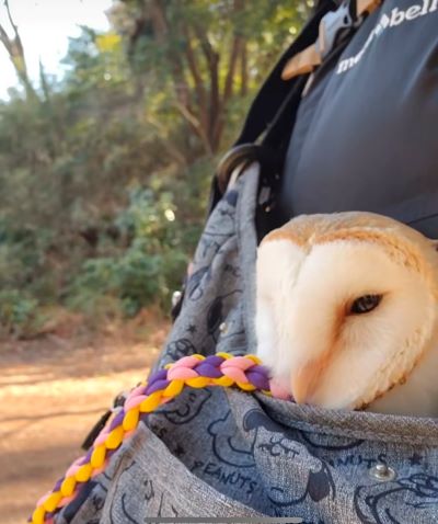 出所：@miki4wan108