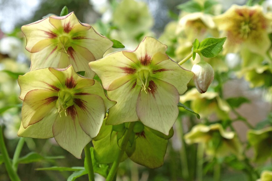 Alex Manders/istockphoto.com