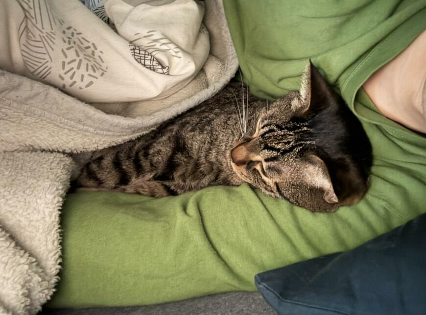 出所：@00shitemita