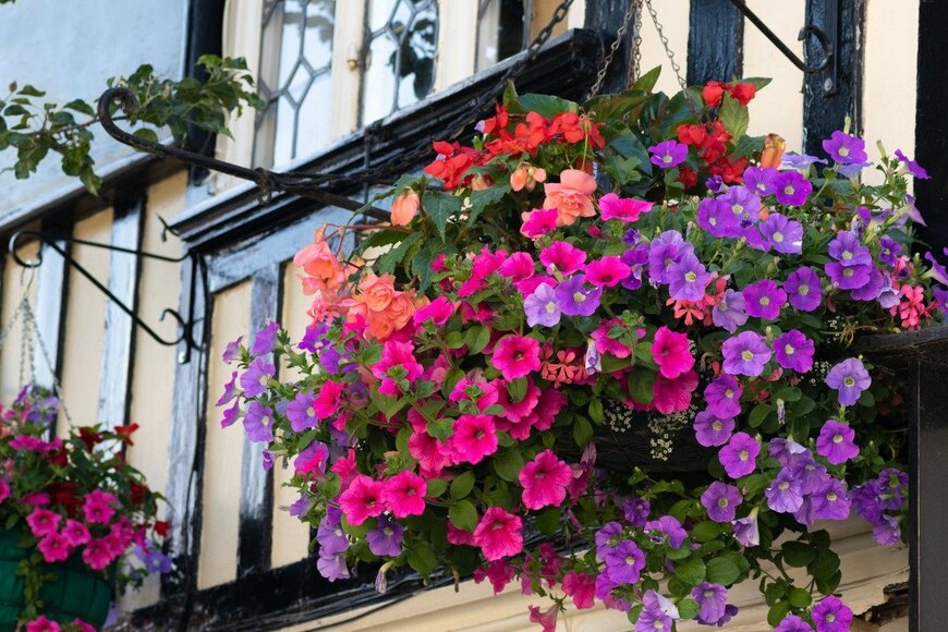 hopsalka/istockphoto.com