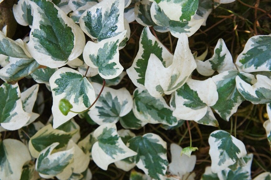 skymoon13/istockphoto.com