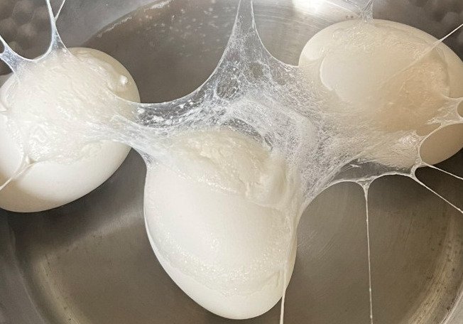 出所：@mami2015ryuma