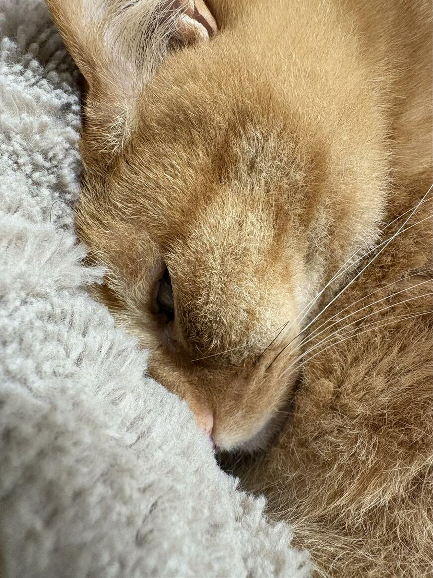 出所：@kagisuzu0531