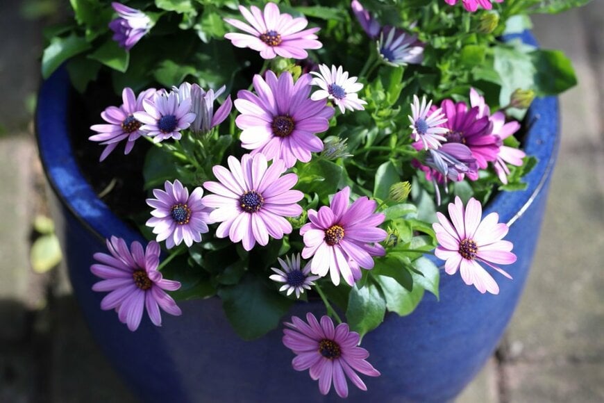 あなたの厚生年金・国民年金「6月支給分から増えます」2026年度の年金増額内容とライフコース別年金額試算《5つのモデルケースも紹介》