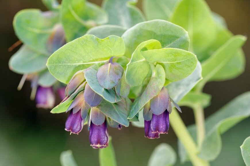 Martin Fowler/shutterstock.com