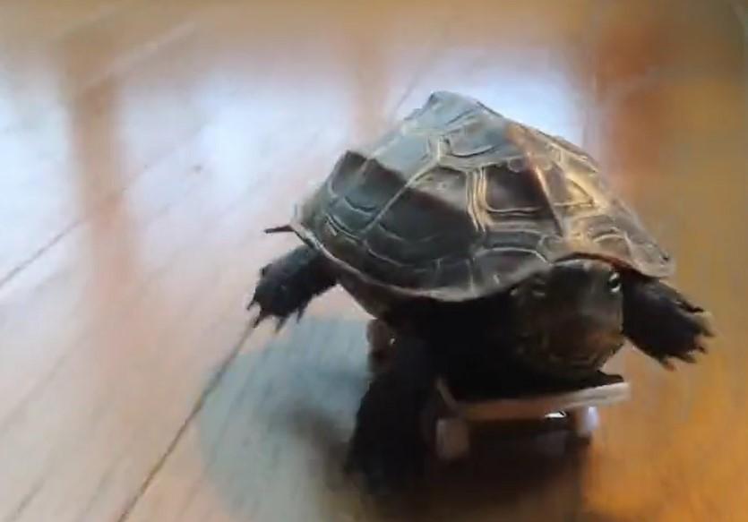 出所：@Mh0MLiErcV8E97C