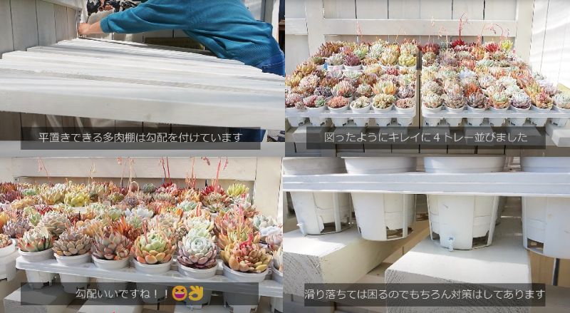 出所：@oliveandsucculentgarden