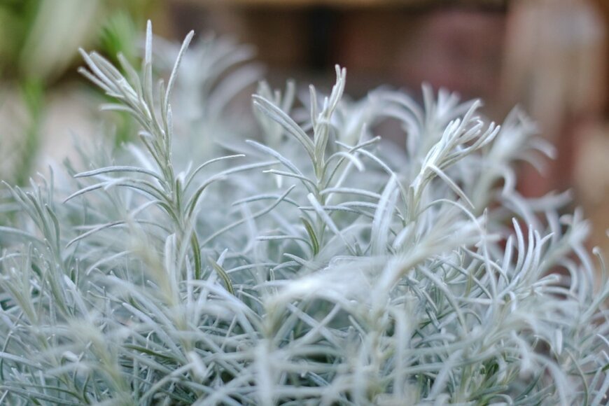 mizy/shutterstock.com