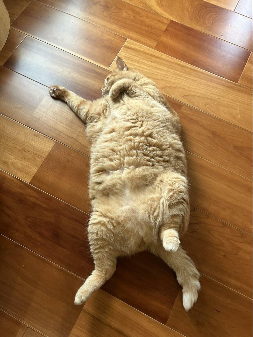 出所：@kagisuzu0531