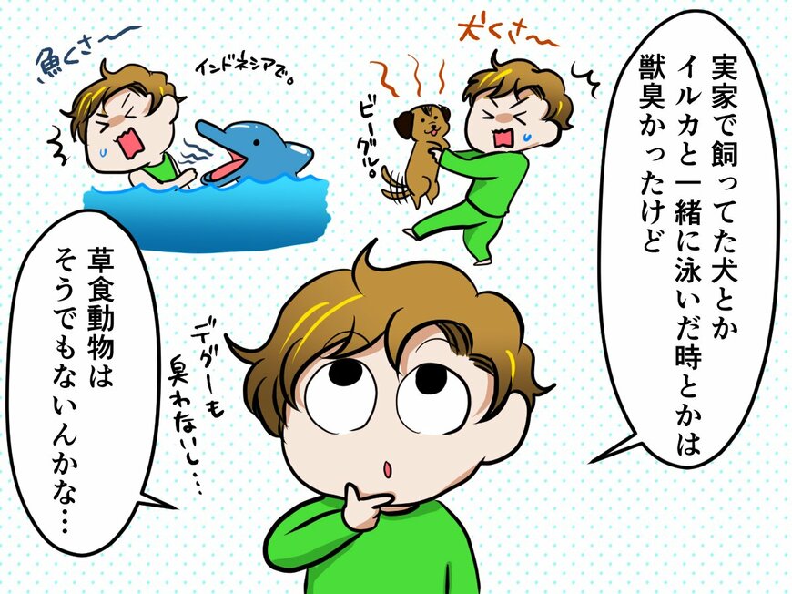 臭い？臭くない!? モフモフな生き物チンチラのニオイを嗅いでみたら…【チンチライフ13話】