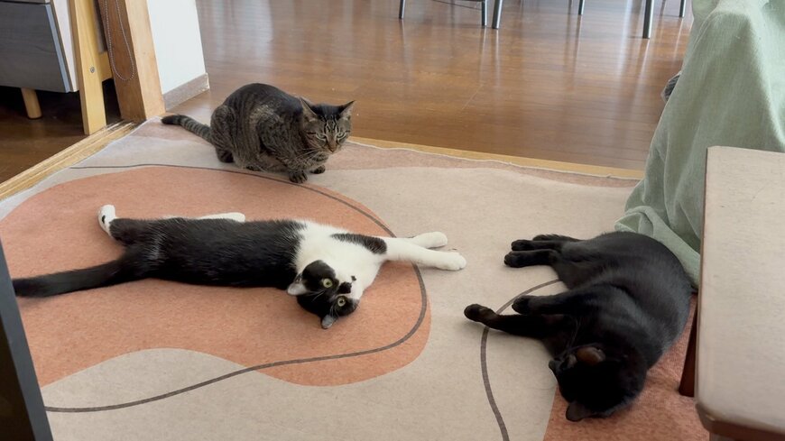 出所：@00shitemita