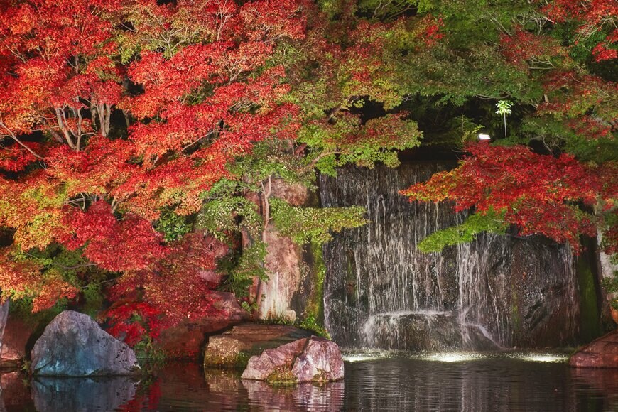 YUSHENG HSU/shutterstock.com