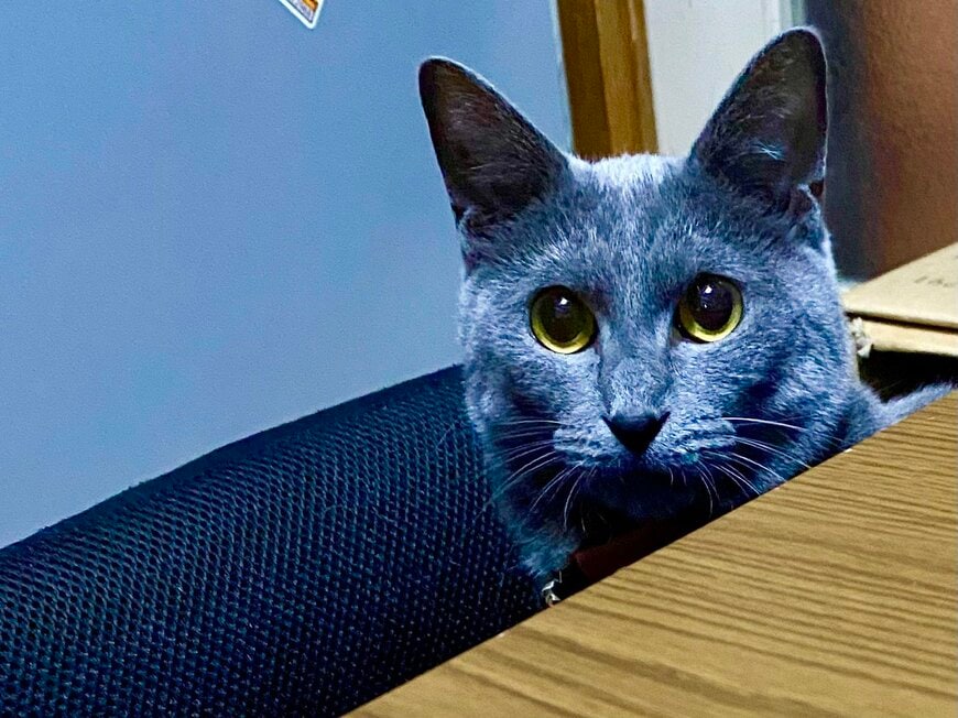 出所：@luna7taka9