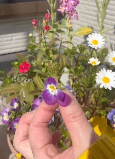 出所：@yuri_kurashilog