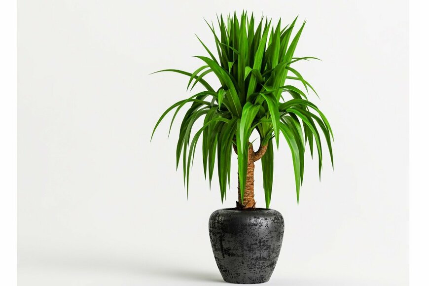 Aphap/istockphoto.com