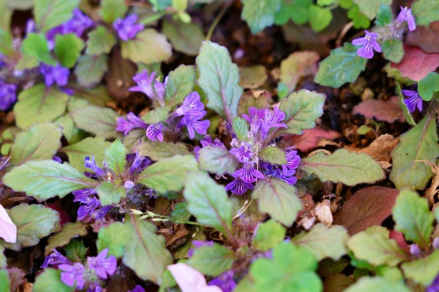 High Mountain/shutterstock.com