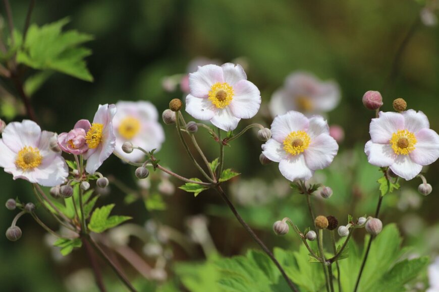 Kabar/shutterstock.com